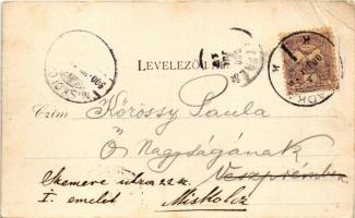 1900 Palics-fürdő, Palic; részlet. König Riza kiadása / villa (EB)