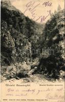 Petrozsény, Petroseni, Petrosani; Szurduk szoros. Joánovits János kiadása / Pasul Surduc / mountain pass, gorge, bridge (Rb)