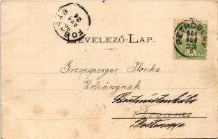 1906 Petrozsény, Petrosany; részlet a szurduki szorosból, híd. Herz Arnold és Grausam Károly kiadása...