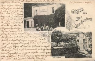 Bad Gleichenberg Hotel Weihnachtsbaum and Villa Triestina (EK)