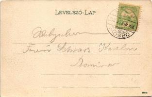 1904 Orsova, Széchenyi út, gyógyszertár / road, pharmacy (EK)