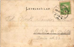 1909 Orsova, Cserna híd. Kiadják Müller Testvérek / Cserna-Brücke / Cerna bridge (fl)