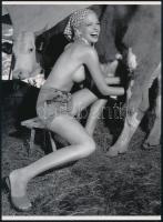 cca 1957 "A gazda lánya férjhez menne - profilkép a társkereső hirdetéshez", szolidan erotikus felvétel, 1 db modern nagyítás jelzés nélkül, 21x15 cm