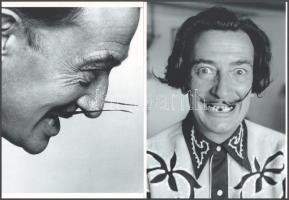 Dali, Salvador (1904-1989) katalán - spanyol szürrealista festőművész, aki fényképezés közben gyakran önmagát rendezte, vagyis kitalálta előre a képet, s ehhez hívott fotós segítséget, eltérő időben készült felvételek (A bika; Csorbacsík), 2 db modern nagyítás, jelzés nélkül, 21x15 cm