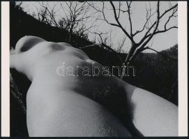 cca 1950 Lucien Clerque (1934-2014) francia fotóművész felvétele (Csalitos), 1 db modern nagyítás jelzés nélkül, 15x21 cm