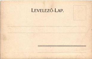 Nagyszeben, Hermannstadt, Sibiu; Harteneckgasse mit Stadt-Theater. Verlag von Joh. Gürtler / Hartene...