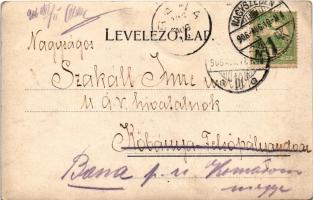 1906 Nagyszeben, Hermannstadt, Sibiu; Schewisgasse. Verlag von Joh. Gürtler / utca / street (felület...