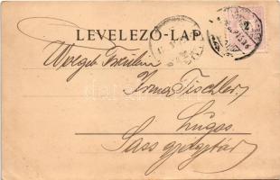 1899 Nagyszeben, Hermannstadt, Sibiu; Grosser Ring. Verlag von Carl F. Jickeli / tér / square (EB)