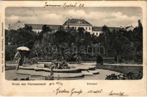 1903 Nagyszeben, Hermannstadt, Sibiu; Erlenpark und K.u.K. Garnison-Spital / Osztrák-magyar helyőrségi kórház és az Erlen park. Karl Graef kiadása / Austro-Hungarian K.u.K. military garrison hospital with park (EK)