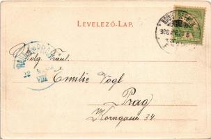 1903 Nagyszeben, Hermannstadt, Sibiu; Erlenpark und K.u.K. Garnison-Spital / Osztrák-magyar helyőrsé...