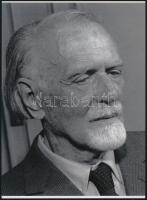 cca 1963 Kodály Zoltán (1882-1967) zeneszerző, zenetudós portréja, 1 db modern nagyítás, jelzés nélk...