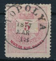 "TOPOLYA" (Gudlin R)