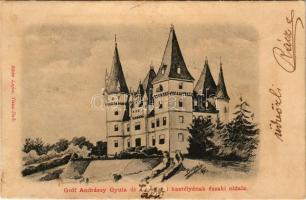 1902 Tiszadob, Gróf Andrássy Gyula kastélyának északi oldala. Klein Lajos kiadása (felületi sérülés / surface damage)