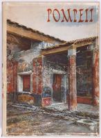 Amedeo Maiuri: Pompeii. Italien: Städte und Landschaften. Zürich - Leipzig - Wien,1929,Amalthea, 124+4 p.+123 (Luigi Bazzani akvarelljeinek színes reprodukciói) t. Német nyelven. Rendkívül gazdag képanyaggal illusztrált. Kiadói illusztrált félvászon-kötés, kopott borítóval, sérült gerinccel.