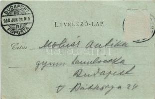 1900 Törökbálint, Templom, Községháza, Plébánia. Eckstein Adolf kiadása. Art Nouveau, floral (Rb)