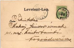 1904 Újhartyán, Fő utca, templom. Makay Katalin kiadása (gyűrődés / crease)