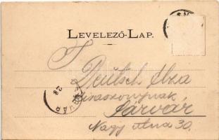 Vasvár, 1898. évben (fl)