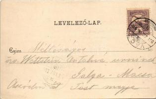 1900 Vác, Kőkapu. Divald Károly 163. sz. (EB)