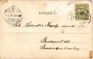 1905 Vác, Barátok temploma. Divald Károly 600. sz. (Rb)