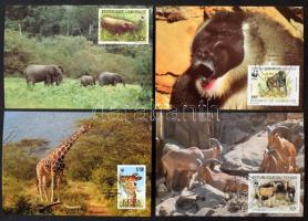 113 klf WWF veszélyeztetett állatok motívum sor CM-en, összesen 452 db CM cipősdobozban