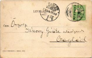 1908 Vác, Fegyház, börtön. Rosenbaum J. Henrik kiadása (fl)