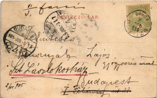 1905 Szliács, Sliac; Újpest szálloda. Lechnitzky O. fénynyomdája kiadása 188. sz. / hotel (r)