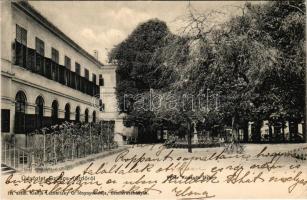 1904 Szliács, Sliac; Fő tér, Kossuth-fa. Lechnitzky O. fénynyomdája kiadása 191. sz. / main square, ...