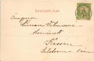 1904 Szliács, Sliac; Fő tér, Kossuth-fa. Lechnitzky O. fénynyomdája kiadása 191. sz. / main square, ...