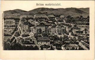 Szliács, Sliac; gyógyfürdő és környéke. Pannonia, Otthon, Hungaria, Fürdőház, Buda, Bellevue, Bristol, Újpest szálloda, Huszka vendéglő, Amália, Strauss, Dankovsky kávéház és étterem, Pest és Pestszárny szálloda, Izraelita (zsidó) vendéglő, Üdvözlégy villa, Üvegház kertész lak / spa, hotels, villas, Jewish restaurant, greenhouse, café (EK)