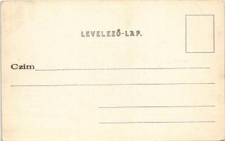 Szliács, Sliac; gyógyfürdő és környéke. Pannonia, Otthon, Hungaria, Fürdőház, Buda, Bellevue, Bristo...