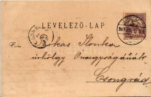 1900 Szliács, Sliac; Buda és Pest szálloda, Pannonia szálloda. Eugen Végh kiadása, szecessziós-virág...