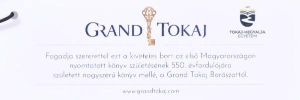 Chronica Hungarorum 1473. [Budai krónika.] Fakszimile kiadás és kísérőkötet. Latin szöveg, magyar fo...