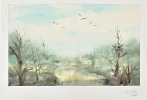 Balázs György (1927-2015): Madarak az égen, 1994. Akvarell, papír, jelzett, paszpartuban. 18,5x30 cm