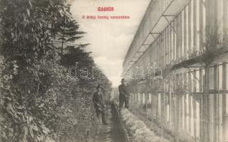 Gödöllő a Királyi Kastély narancsháza