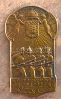 Osztrák-Magyar Monarchia 1916. "In memoriam 1914-1916" fém plakett, márvány lapon, 6,5x4 c...