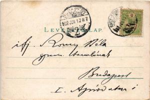 1902 Szomolány, Szomolyán, Smolenice; várrom. Fischer Hugó kiadása (Nagyszombat) / castle / Smolenic...