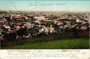 Nagyvárad, Oradea; látkép. Helyfi László kiadása / general view (EK)