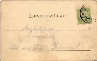 1904 Nagyvárad, Oradea; Múzeum / museum (szakadás / tear)