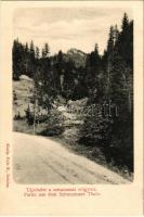 Sztracena, Ztracena, Stracena, Stratená; részlet a Sztraczenai-völgyből. Fejér E. kiadása / Partie aus dem Sztraczenaer Thale / Stratenská dolina / valley, road