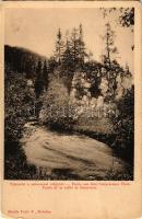 Sztracena, Ztracena, Stracena, Stratená; tájrészlet a sztraczenai-völgyből. Fejér E. kiadása / Partie aus dem Sztraczenaer Thale / Stratenská dolina / valley (EM)