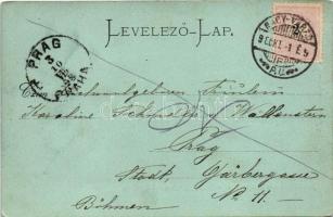 1898 Nagyvárad, Oradea; Püspöki palota és székesegyház este holdfényben. Sonnenfeld Adolf kiadása / ...