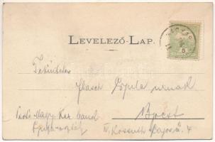 1906 Tőketerebes, Tőke-Terebes, Trebisov; Lovarda részlet az Andrássy kastélyban, Gelb József és fia...