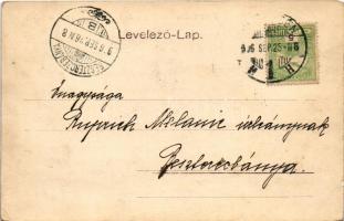 1906 Trencsén, Trencín; Erzsébet szálloda, vár / Trenciansky hrad / Hotel Elisabeth, castle (gyűrődé...