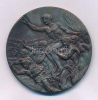 1948. "XIV. nyári Olimpiai Játékok London" bronzozott Zn emlékérem a magyar résztvevők név...