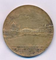 Berán Lajos (1882-1943) 1931. "I. Nemzetközi Stomatológiai Kongresszus Budapest" kétoldalas bronz emlékérem (45mm) T:XF patina, ph. Hungary 1931. "1st International Stomatology Congress" two-sided bronze commemorative medallion. Sign.: "Lajos Berán" (1882-1943), (45mm) C:XF patina, edge error HP.: 1331.