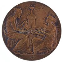 Berán Lajos (1882-1943) 1931. "I. Nemzetközi Stomatológiai Kongresszus Budapest" kétoldala...