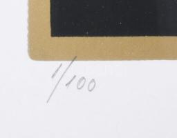 Szász Endre (1926-2003): Hölgy. Szitanyomat, papír, jelzett, számozott (1/100), üvegezett fakeretben...