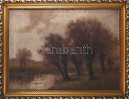 Sashegyi Kálmán, Vodicai (1886-1940): Erdőrészlet. Olaj, vászon, jelzett. Sérült. Dekoratív, kissé s...