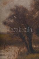 Sashegyi Kálmán, Vodicai (1886-1940): Erdőrészlet. Olaj, vászon, jelzett. Sérült. Dekoratív, kissé s...