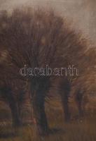 Sashegyi Kálmán, Vodicai (1886-1940): Erdőrészlet. Olaj, vászon, jelzett. Sérült. Dekoratív, kissé s...